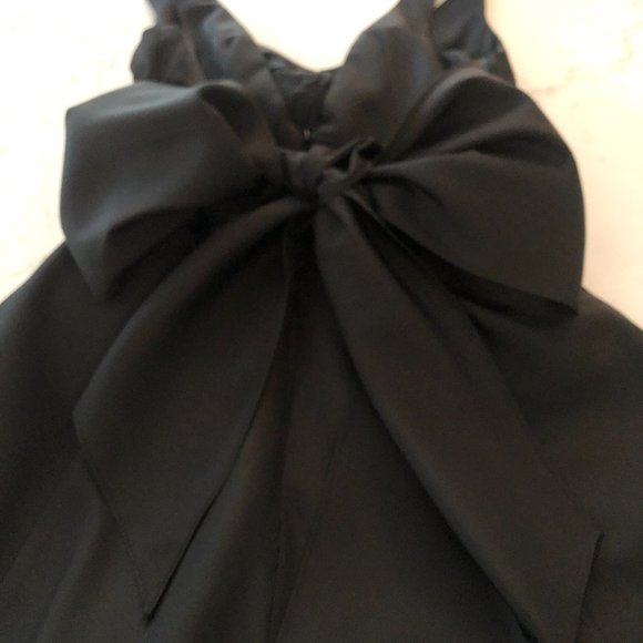 Cache Black Empire Waist Taffeta Maxi Dress - Picture 9 of 12